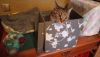 DSC_0018.thumb.JPG.7c4bd6400782b647a6aaddede4060814.JPG
