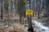 DSC_0170.thumb.JPG.53d5222f830488bf8806ac583f24057e.JPG