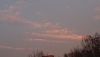 DSC_0202.thumb.JPG.6fffcb6818e41da1ff08ab41fd741556.JPG