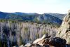 DSC_0204.thumb.JPG.ed88e7656b2b250eca13923d0b0bfbea.JPG