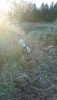 DSC_0208.thumb.JPG.b8fdadae04d689f1be6275e8d3f28266.JPG