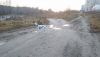 DSC_0210.thumb.JPG.d185c733d49b9536cbb0301f43d3d29d.JPG