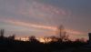 DSC_0212.thumb.JPG.8bd384328c66c17311575cfbadd6f798.JPG