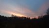 DSC_0215.thumb.JPG.9d0e5d2ded708f09e436367fc252e5f8.JPG