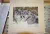 DSC_0255.thumb.JPG.ffd44597ef37d36337fa05ccc13cefe6.JPG