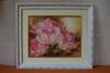 DSC_0435.thumb.JPG.ce07fd1a5deee0a4774cc57bd46c530c.JPG