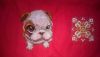 DSC_0569.thumb.JPG.512c72b88ee77918c50ca98c1d26fc33.JPG