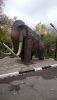 DSC_0571.thumb.JPG.c4b1ed01b3462fef8c447cb7a13a6b40.JPG