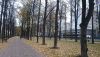 DSC_0575.thumb.JPG.27d42ca26b776e2af9795d00b1cece47.JPG