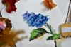 DSC_0725_1.thumb.jpg.c580fad94b11d8e12664f5377efcdc10.jpg
