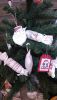 DSC_1490.thumb.JPG.b70a947006bed0cdd162a66f41d3143b.JPG