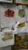 DSC_1536.thumb.JPG.df1ca882d10bc960f996e0546de82083.JPG