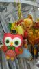 DSC_1565.thumb.JPG.4357fb12eba0c5e13b5c62b2327adf79.JPG
