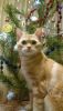 DSC_5643_JPG_9822bc32469675c774a6ef226d9d4cdc.thumb.jpg.ed9e05406e7e1400597105ca5cbc709f.jpg