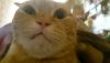 DSC_6516.thumb.JPG.a7618f53c7eacf4c25fb288bfadb7838.JPG