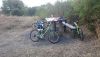 DSC_6562.thumb.JPG.60c6eb7441e4a8c66286d45f4b3f205d.JPG