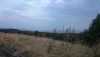 DSC_6563.thumb.JPG.3b2845779c73a58cbb4bf26e9fd684ce.JPG