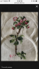 FEC96225-3E58-424F-B029-7E44F84E161F.thumb.png.3dbc6fe445ce42a5e0c617c361e69eab.png