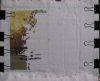 IMG_1081.thumb.JPG.e2c226a8c021d7f5f9063b97adb675b1.JPG