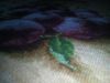 IMG_20171002_155246.jpg