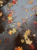 IMG_20171005_162116.thumb.jpg.a7f213fa3587ee0e6548c850f69d89cc.jpg