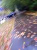 IMG_20171005_162119.thumb.jpg.7a596cfe148711ee3950562cb3caec48.jpg