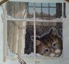 IMG_20171005_170855.thumb.jpg.1495b8928105556cff89159cb82ec116.jpg