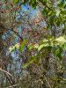 IMG_20171007_100602_HDR.jpg