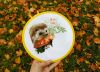 IMG_20171007_153416_591.thumb.jpg.8c29416370c2afee25facee61d3b92ad.jpg