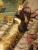 IMG_20171007_202416.thumb.jpg.80096166e850f0a81b5cf9b662296110.jpg