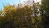 IMG_20171008_105305.thumb.jpg.eadd449389055465691bcca386a5c003.jpg