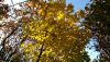 IMG_20171008_105856.thumb.jpg.9e2211b3e83e26c742198f48c9dcff0a.jpg