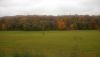 IMG_20171014_123033.thumb.jpg.22c98d87b2b1c67501ce379725165352.jpg