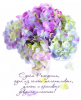 IMG_20171015_102247.thumb.png.65437748ac40c355b91a3d074200e6ed.png