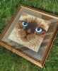IMG_20171016_183839_41.thumb.jpg.31dfbf1da488bebc9c2575773ebd96f1.jpg