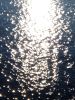 IMG_20171021_152433.thumb.jpg.0be28ad5b0d123b679aad25cc70bcf5e.jpg