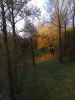 IMG_20171021_160613.thumb.jpg.a920e95dac5d10d061764c0237b9e43e.jpg