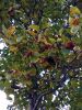 IMG_20171021_162837.thumb.jpg.f47cd708063fe0224e7545e0d081b851.jpg