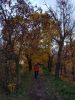 IMG_20171021_172345.thumb.jpg.544bc00e58bfb0e81241cb5d9ba506f8.jpg