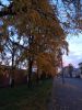 IMG_20171021_173414.thumb.jpg.49a1368a1645c34db084704aeed4ed0c.jpg