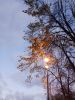 IMG_20171021_174059.thumb.jpg.d3982e1ee7b741c7617663bf4296736d.jpg