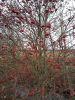 IMG_20171022_125838.thumb.jpg.1ae709f8b86b29ad0588e4f642139a7b.jpg
