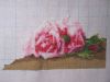 IMG_2597.thumb.JPG.520a2386cb7da4dcc8808bddcd1ce456.JPG