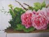 IMG_2626.thumb.JPG.a8441cda7a4ddbfa41690556ef6f472b.JPG