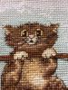 IMG_4471.thumb.JPG.b60a7a2d1599ab65d8a0b740ff3fe0bc.JPG