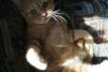 IMG_4901.thumb.JPG.ed7fc89eafaa22040bad8e3e18c66425.JPG