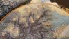 P_20171013_113149_vHDR_On.thumb.jpg.fa5e5c61553eb17397a2eae013061874.jpg