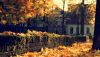 autumnl-104.thumb.jpg.08716d9c226265ee24532f74add34440.jpg