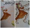 collage_photocat_11.thumb.jpg.e8607da5a26f238577c1aaafcab82d2f.jpg