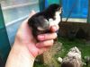 image-10-07-17-06-23-2.thumb.jpeg.94858a0893709209f7b7da46643104a7.jpeg